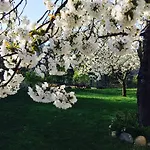 Feriegård Ca Di Voi