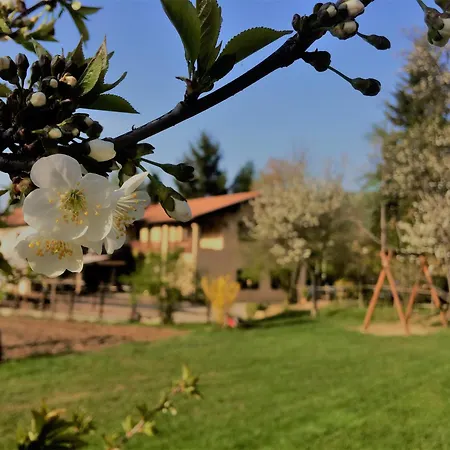 Gospodarstwo agroturystyczne Ca Di Voi *