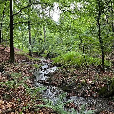 Vakantieboerderij Ca Di Voi Calizzano