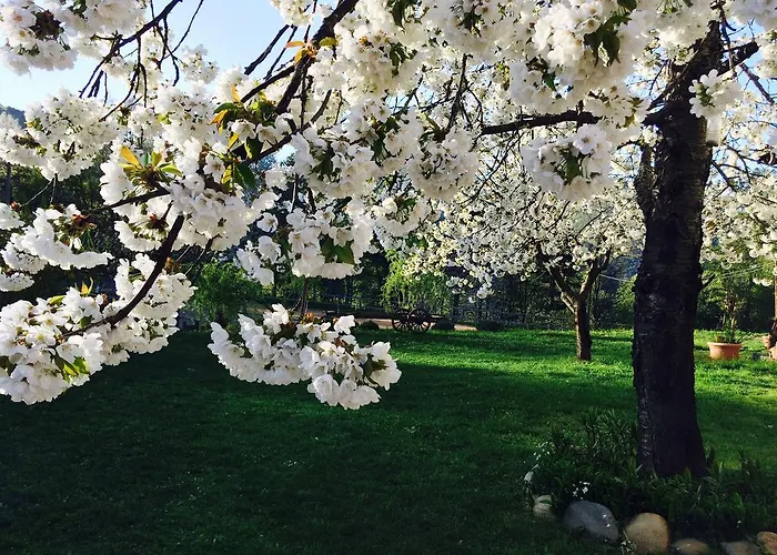 Feriegård Ca Di Voi